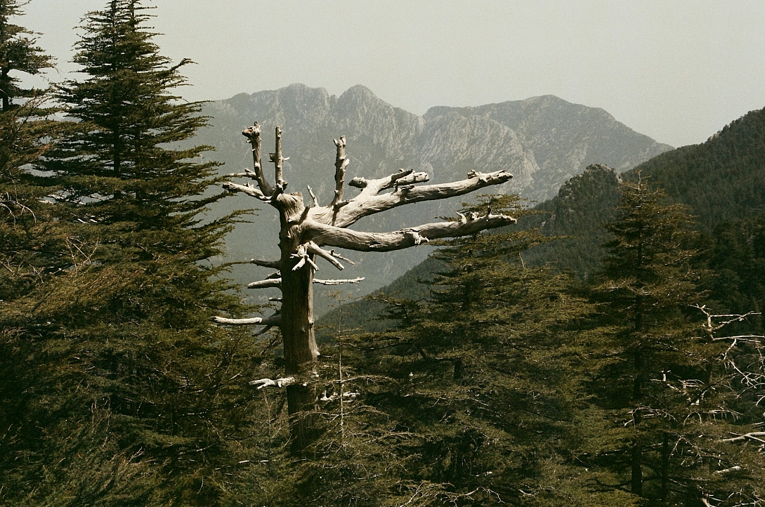 lycian way to tahtali mountain