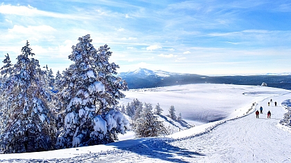 The Best Ski Resorts in Türkiye for Winter Fun